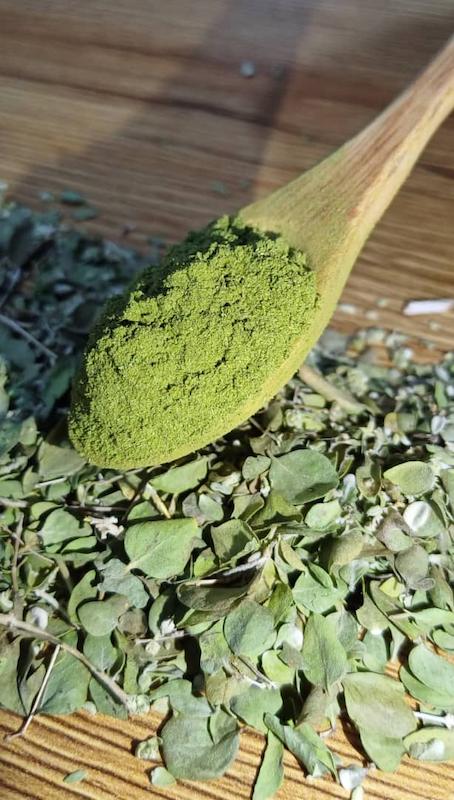 برگ آویشن شیرازی