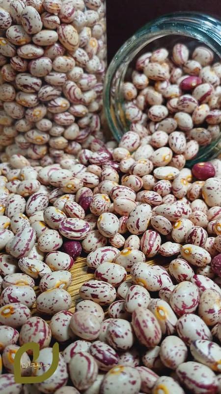 لوبیا چیتی زنجان/Pinto Bean