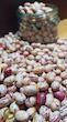 لوبیا چیتی زنجان/Pinto Bean