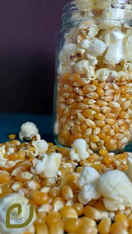 ذرت پاپ کرون طلایی /Golden Corn