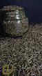 زیره سیاه کوهی سپیدان/Mountain Black Cumin