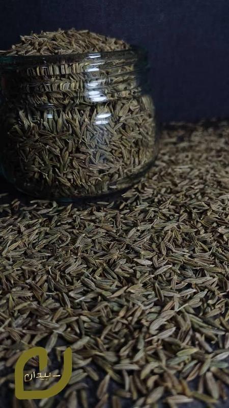 زیره سیاه کوهی سپیدان/Mountain Black Cumin
