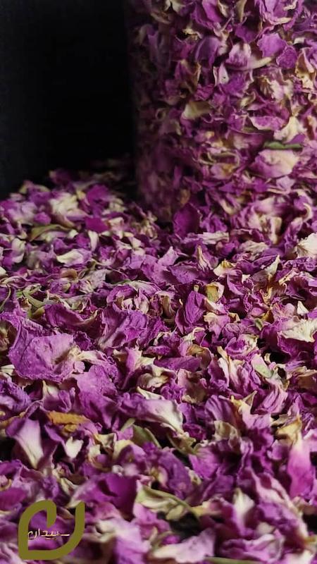 پر گل محمدی سپیدان (لاله زار)(rose)/Rose Petals