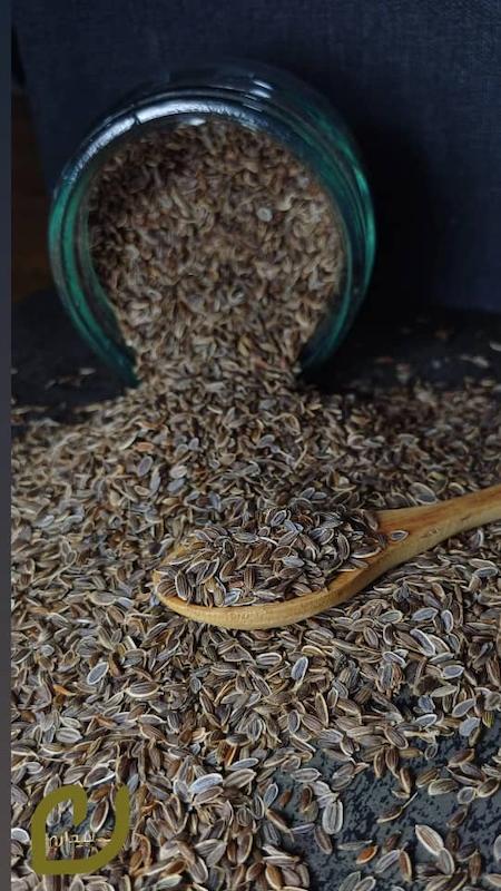 تخم شوید(میتخم)/Dill Seeds