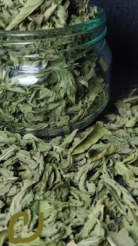 نعنا خشک سپیدان/Dried Mint 