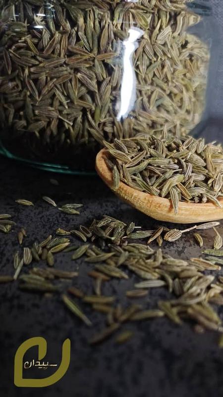 زیره سبز سپیدان/cumin sepidan