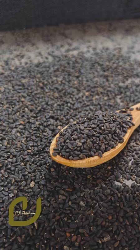 تخم شربتی درشت/Basil Seeds