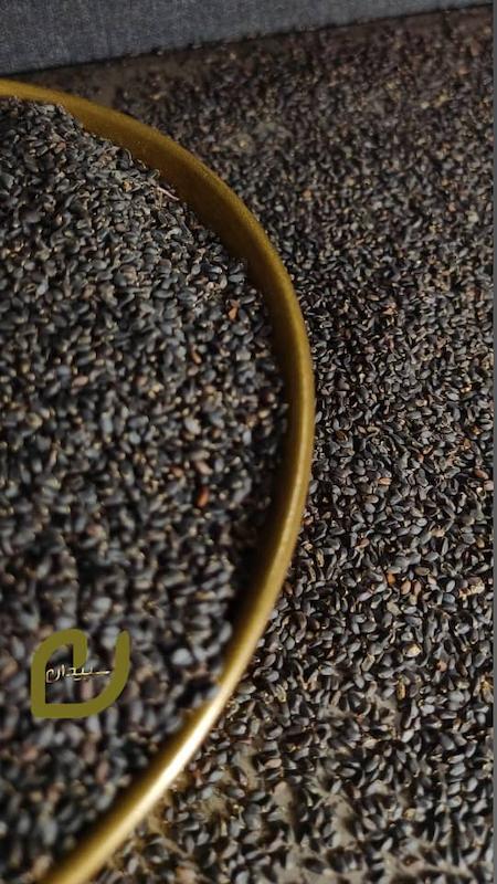 تخم شربتی درشت/Basil Seeds