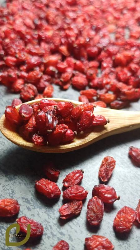 زرشک پفکی/Puffy Barberry