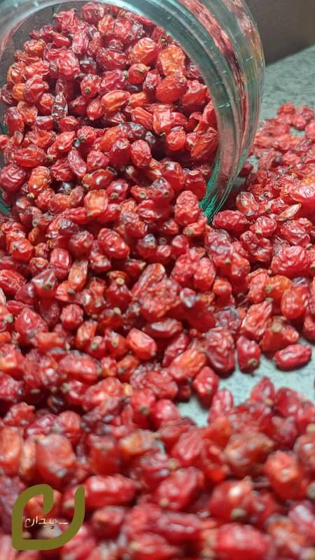 زرشک پفکی/Puffy Barberry