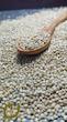 کینوا سپیدان (پروتئین کامل و بدون گلتون)/Quinoa