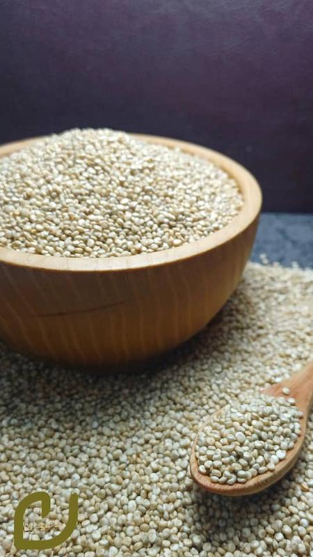 کینوا سپیدان (پروتئین کامل و بدون گلتون)/Quinoa