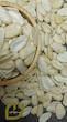 مغز بادام درختی دوپوست سپیدان(مغز بادام  ایرانی سپیدان )/  iraDouble-skin almond kernel