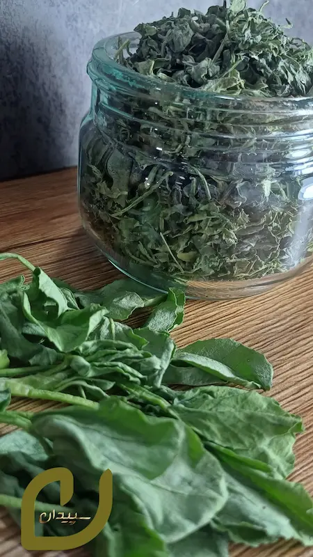 شنبلیله خشک سپیدان/dry fenugreek