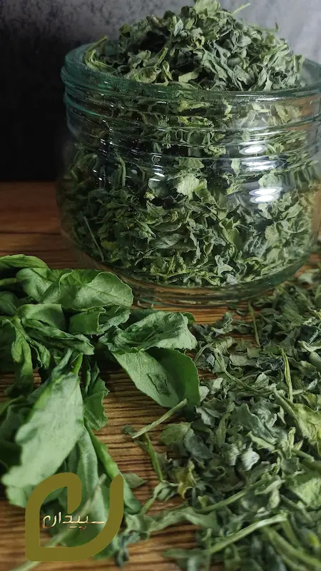 شنبلیله خشک سپیدان/dry fenugreek