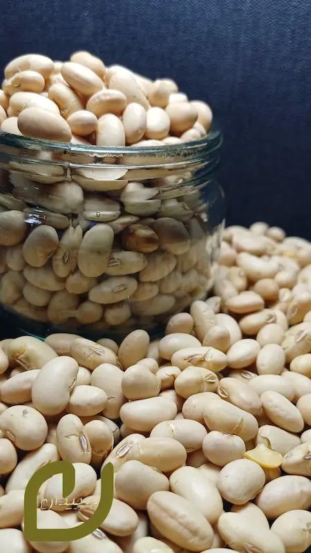 سویا آجیلی سپیدان/Soybeans nuts