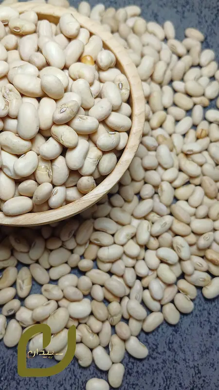 سویا آجیلی سپیدان/Soybeans nuts
