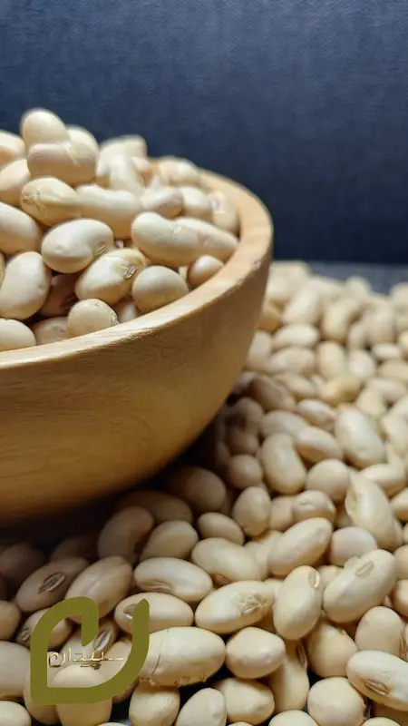 سویا آجیلی سپیدان/Soybeans nuts