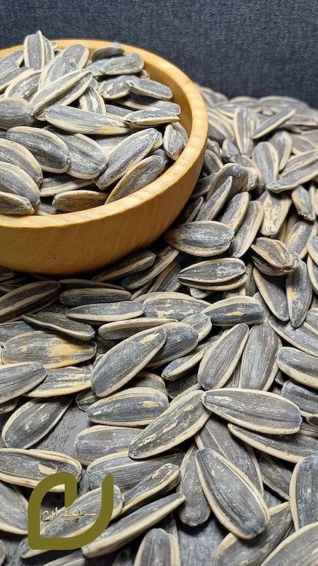 تخمه آفتاب‌گردان برشته سپیدان.Roasted sunflower seeds