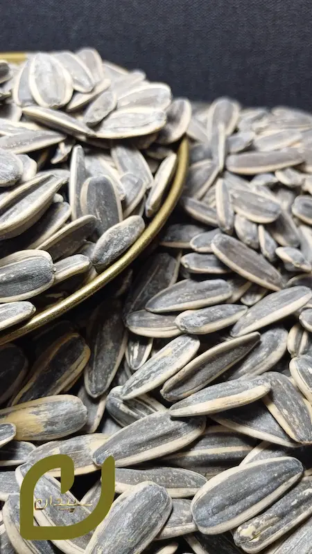 تخمه آفتاب‌گردان برشته سپیدان.Roasted sunflower seeds