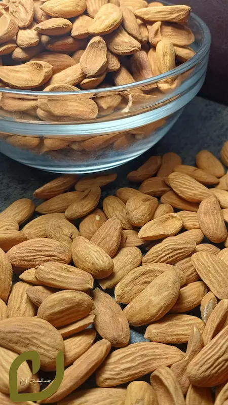 مغز بادام ایرانی سپیدان برشته (شاهرودی) /Roasted almond kernels