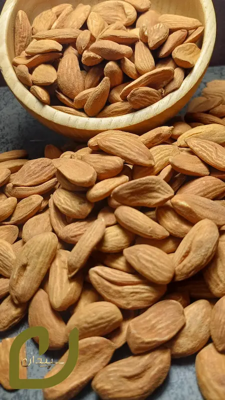 مغز بادام ایرانی سپیدان برشته (شاهرودی) /Roasted almond kernels
