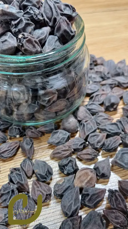 سپستان /Sepastan