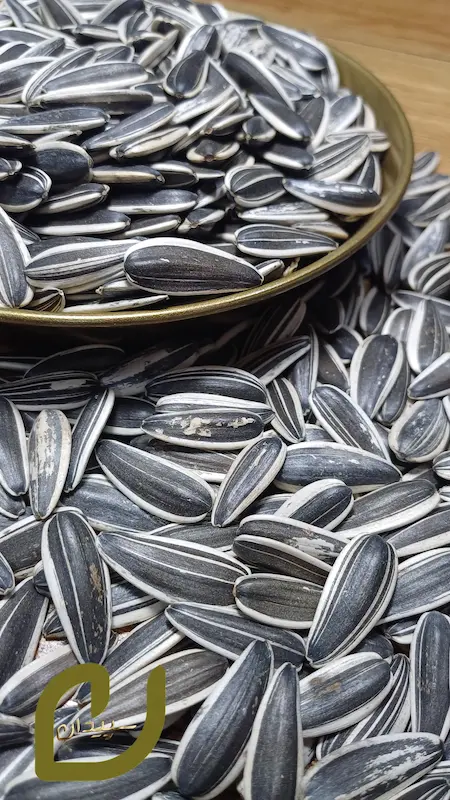 تخمه آفتاب‌گردان خام سپیدان /Raw sunflower seeds