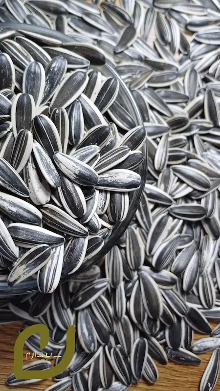 تخمه آفتاب‌گردان خام سپیدان /Raw sunflower seeds