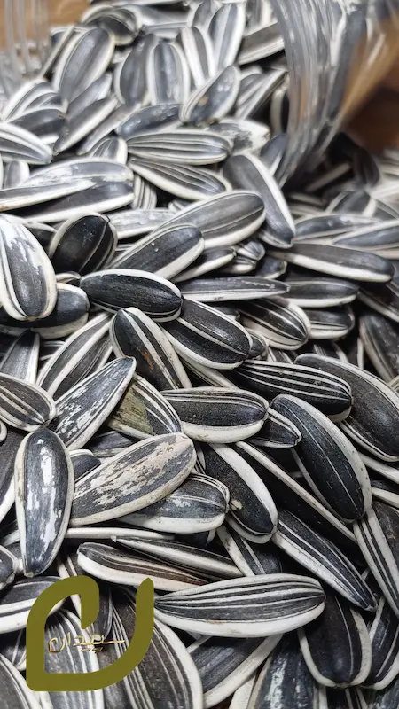 تخمه آفتاب‌گردان خام سپیدان /Raw sunflower seeds