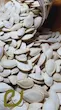 تخمه کدو گوشتی خام/Raw pumpkin seeds