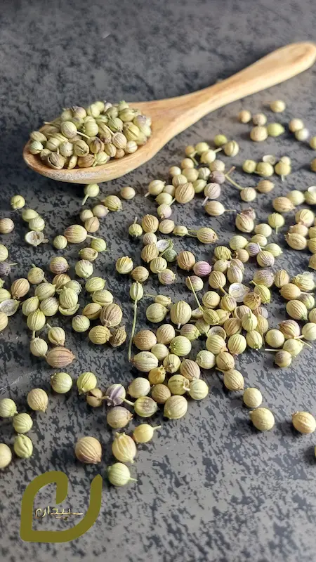 تخم گشنیز سپیدان /(coriander seeds).