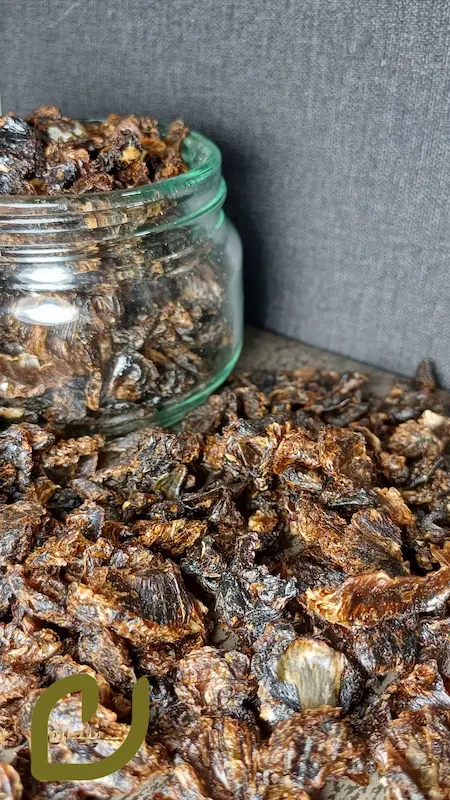 پرک لیمو عمانی سپیدان/Dried Omani Lemon Flakes /مغز لیموعمانی