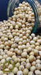 سویا خام سپیدان/ Raw soybeans