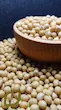 سویا خام سپیدان/ Raw soybeans