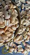 مغز بادام زمینی آستانه{دو پوست} سپیدان /Double_ skinned peanut kernel
