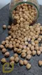 نخود ارگانیک سپیدان/Organic Chickpeas