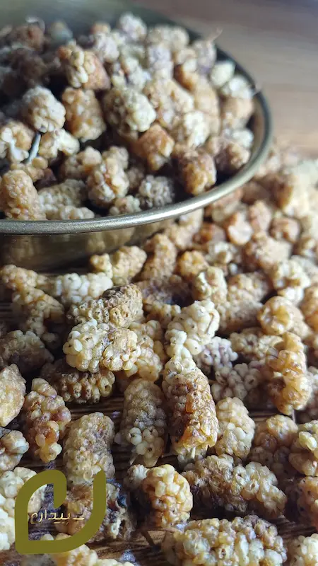 توت خشک تبریز سپیدان  /Sepidan Dried White Mulberries