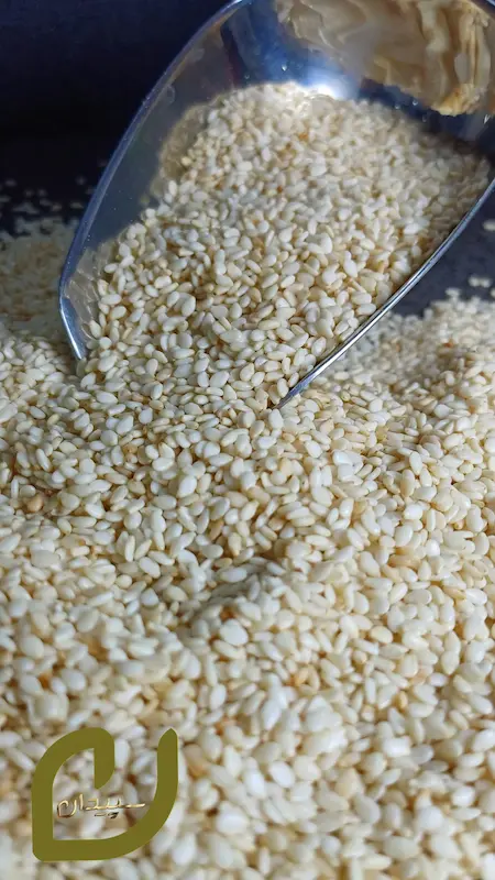 کنجد سفید برشته سپیدان 