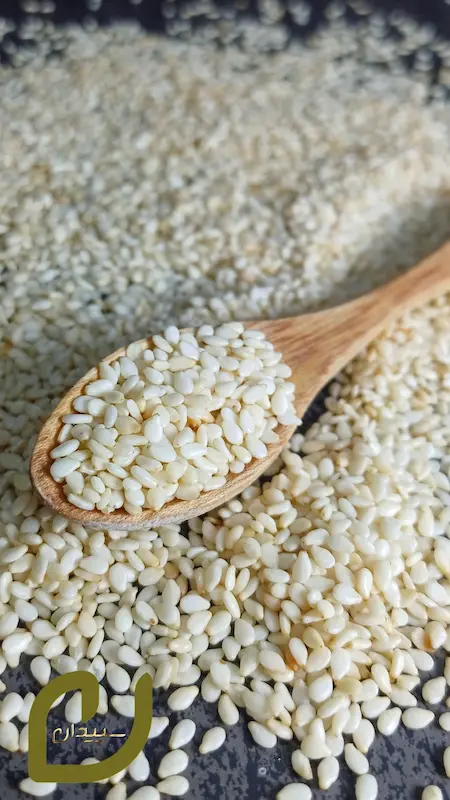 کنجد سفید برشته سپیدان 