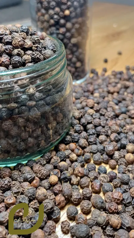 فلفل سیاه /فلفل سیاه ناساب  سپیدان/black pepper