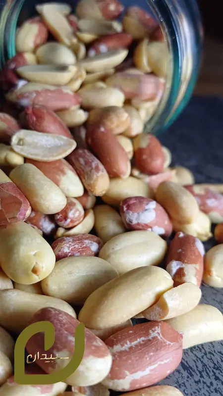 مغز بادام زمینی آستانه { برشته نمکی)سپیدان/Astaneh Peanut Kernels