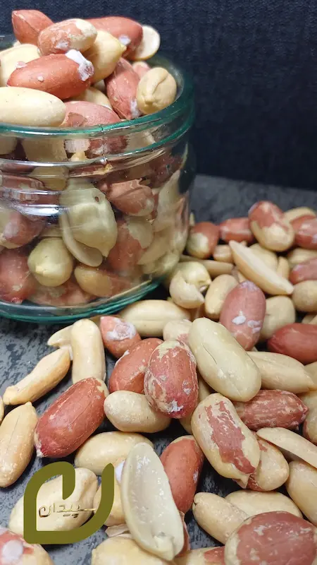 مغز بادام زمینی آستانه { برشته نمکی)سپیدان/Astaneh Peanut Kernels