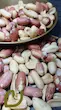 مغز بادام زمینی آستانه { برشته نمکی)سپیدان/Astaneh Peanut Kernels