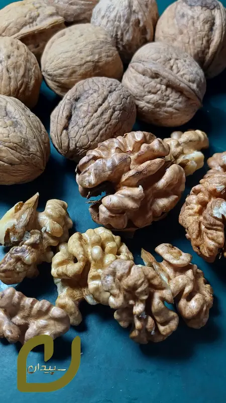 گردو همدان /Hamedan Walnut 