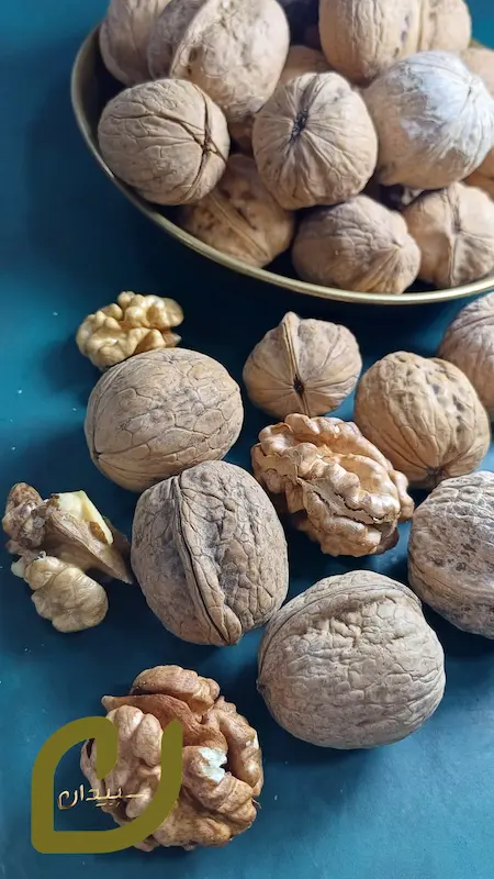 گردو همدان /Hamedan Walnut 