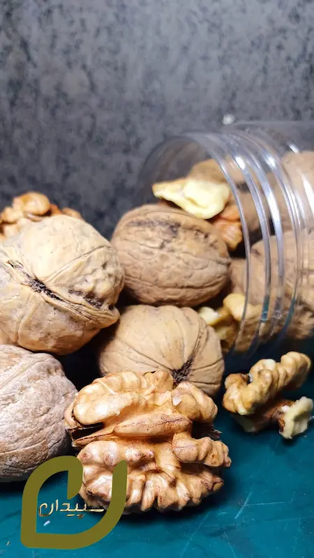 گردو همدان /Hamedan Walnut 