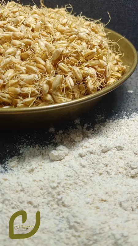 آرد جوانه گندم دیم کرمانشاه /Wheat germ flour