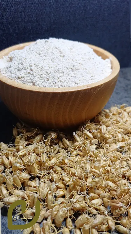 آرد جوانه گندم دیم کرمانشاه /Wheat germ flour