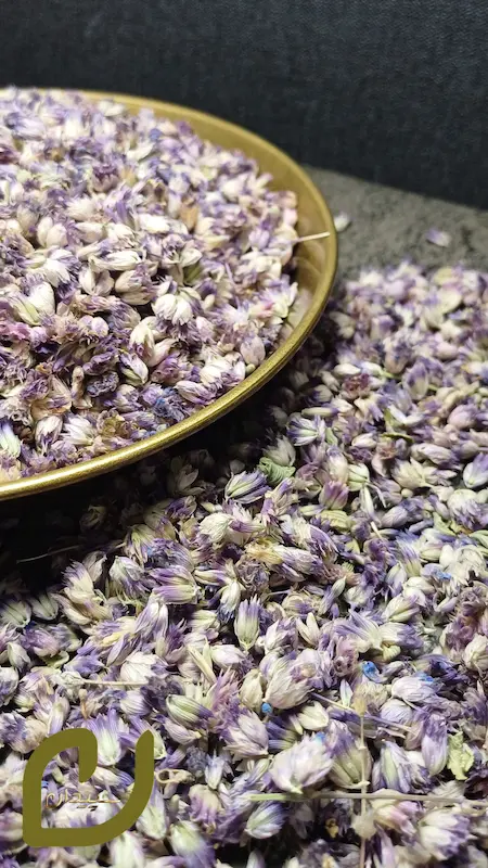 شکوفه بادرنجبویه سپیدان/ Lemon balm blossom
